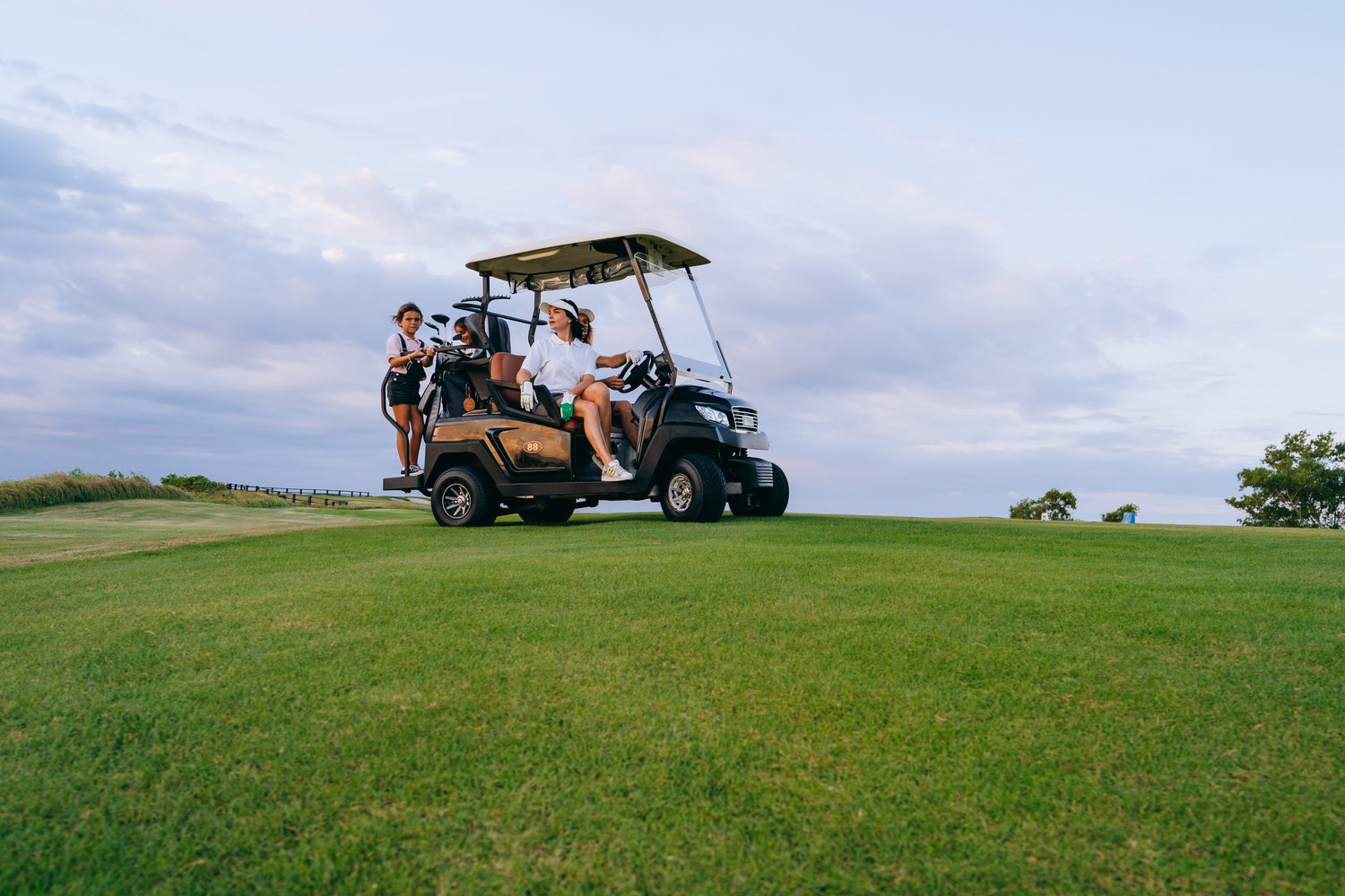 Batería para Carro de Golf