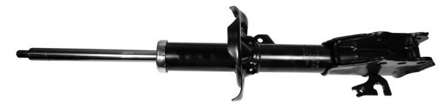 AMR MONROE OESpectrum REMP. / 331675L