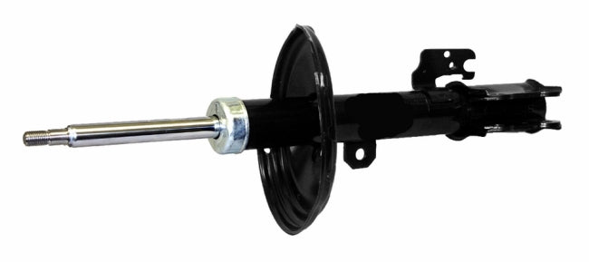 AMR MONROE OESpectrum REMP. / G56731 / 331660R