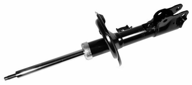 AMR MONROE OESpectrum REMP. / 331665L